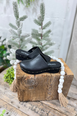 Newbie Clog Black by Corky’s Shoes Corky's Boutique   