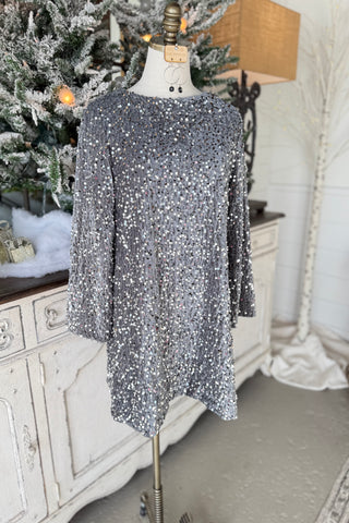 Shimmy Shine Dress Silver Dresses Carla&Co