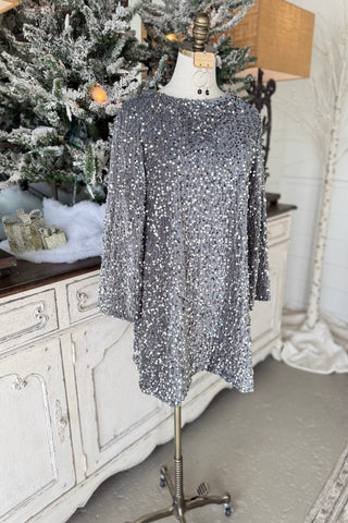 Shimmy Shine Dress Silver Dresses Carla&Co