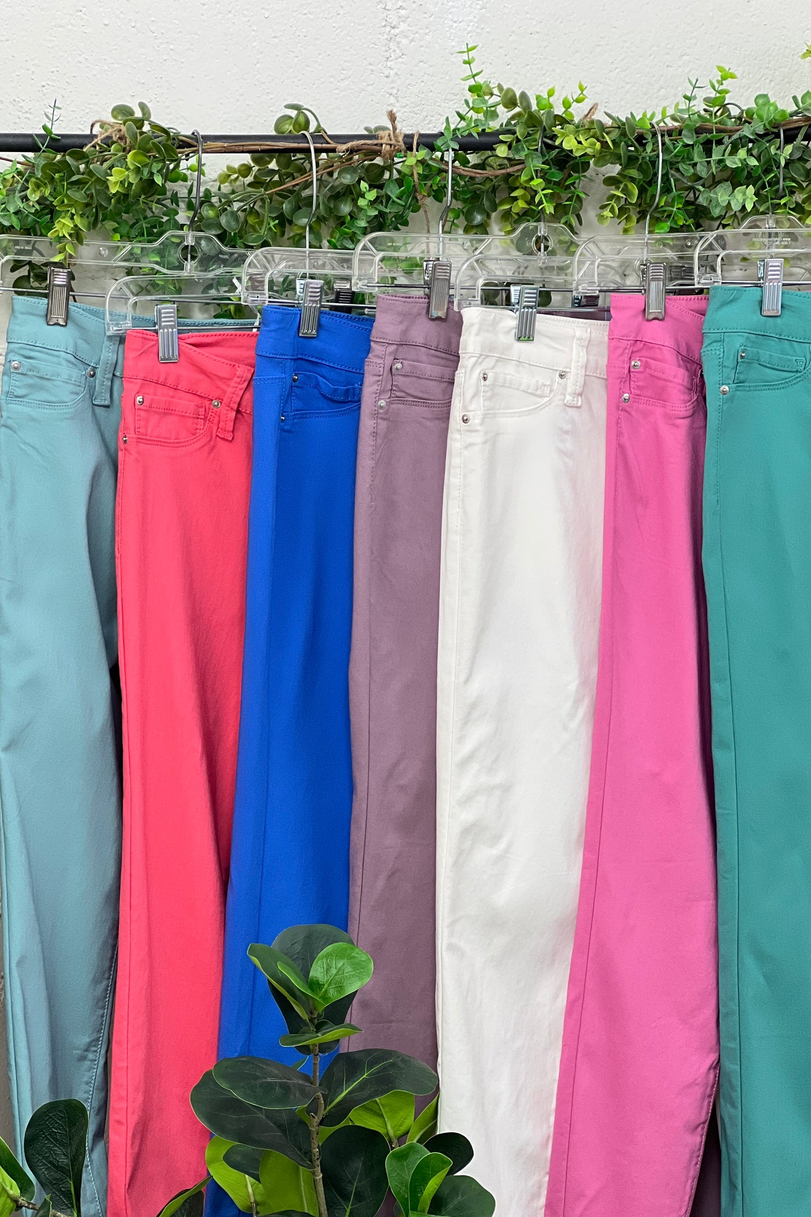 YMI Colored Pant